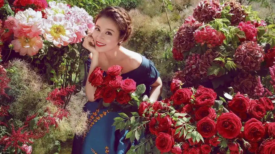 林心如,林心如,高清壁纸,桌面图片-壁纸族