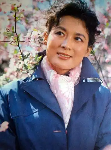 向梅mei xiang的图片