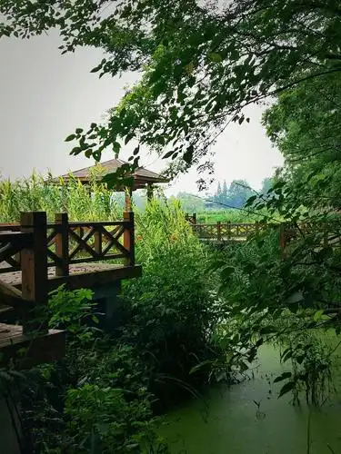 浓夏时光.醉心清宁