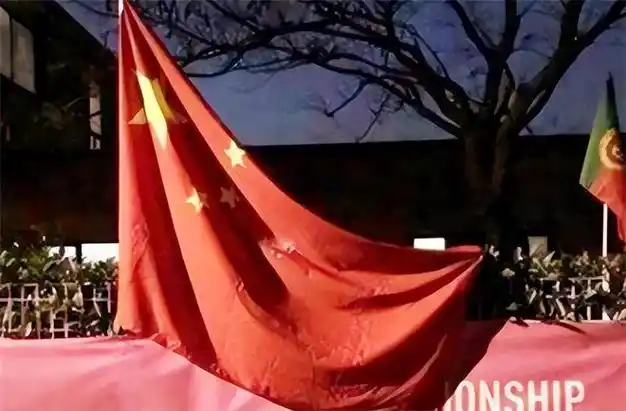 拒绝悬挂中国国旗,中国运动员全体退赛,主办方竟发出威胁|奥运会|乒乓