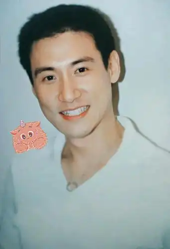 四大天王喜爱度调查,刘德华,郭富城,黎明,张学友