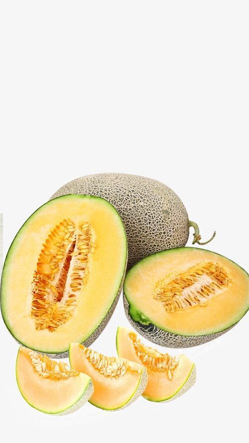 切开的新鲜的哈密瓜