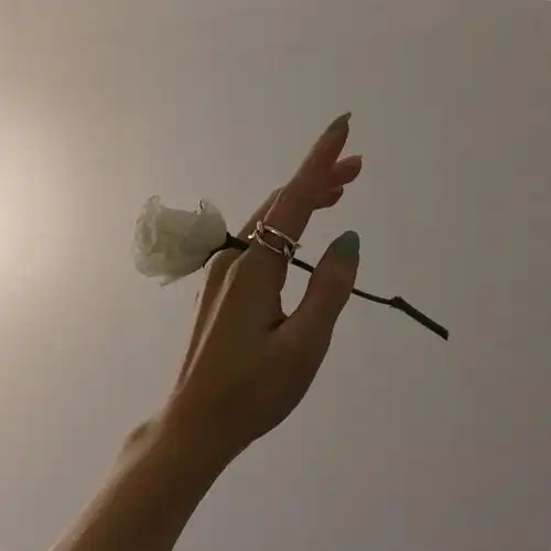 背景图-堆糖,美好生活研究所