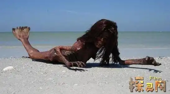 真的美人鱼长什么样子美人鱼真身吓人图片曝光