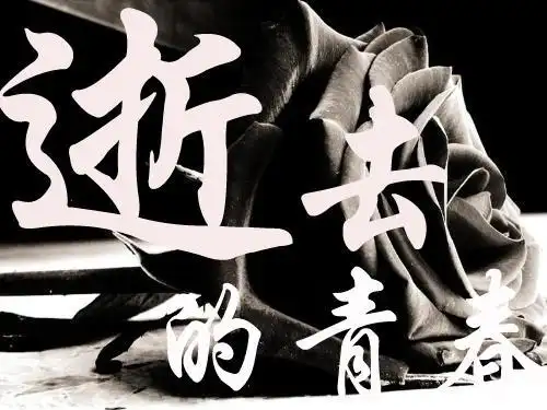 给我一张(逝去的青春)字的图片