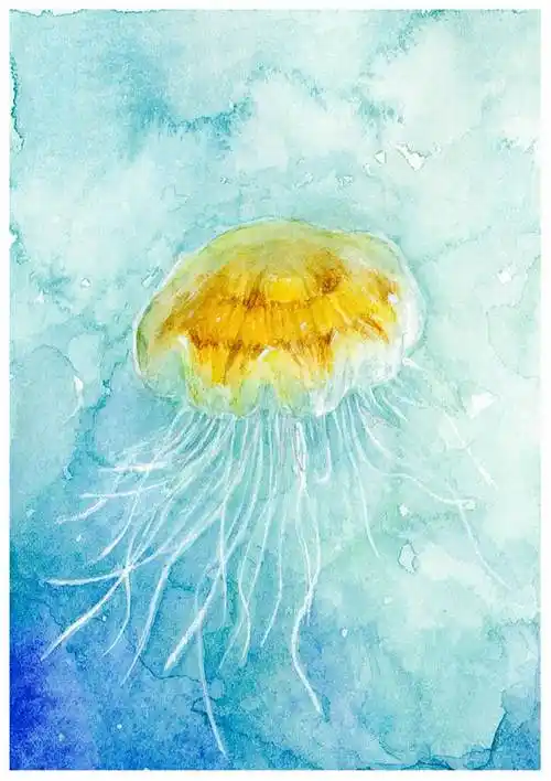 水彩,水母,手绘水母,小清新,图片水母水彩画就分享到这里,了解更多