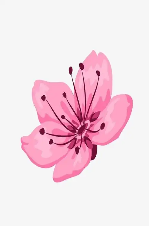 桃花矢量图片-卡通手绘桃花矢量图素材模板下载_懒人图库