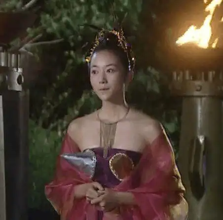 春光灿烂猪八戒系列范冰冰陈红陶虹美呆猫妖太白金星韩雪