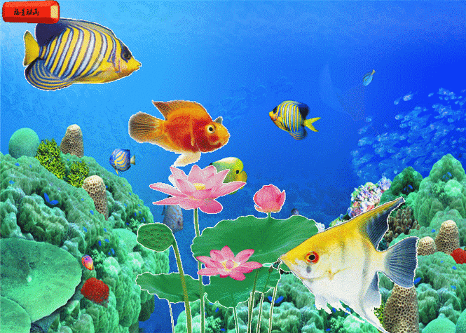 700_500gif 动态图 动图