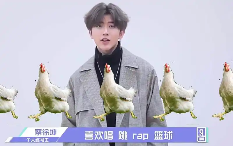 《鸡你太美》-蔡徐坤-小鸡进行曲