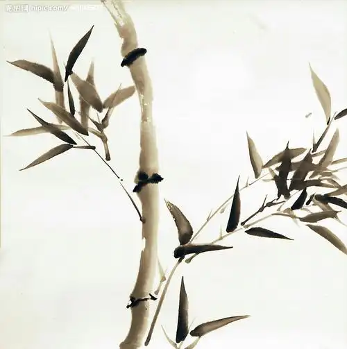 中国画写意竹子 - 美篇