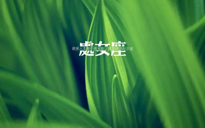 > 处女座简约文字唯美小清新图片桌面壁纸(1920×1200)