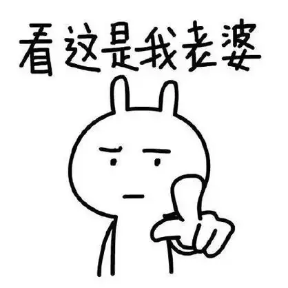 看这是我老婆 - 你确定不来泡我吗?_熊猫_装逼_好玩表情