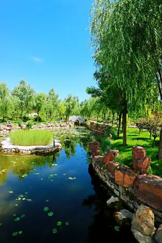 【瞎转瞎拍2020-100-916期】大美康巴什~身边的江南美景·榆兰园及