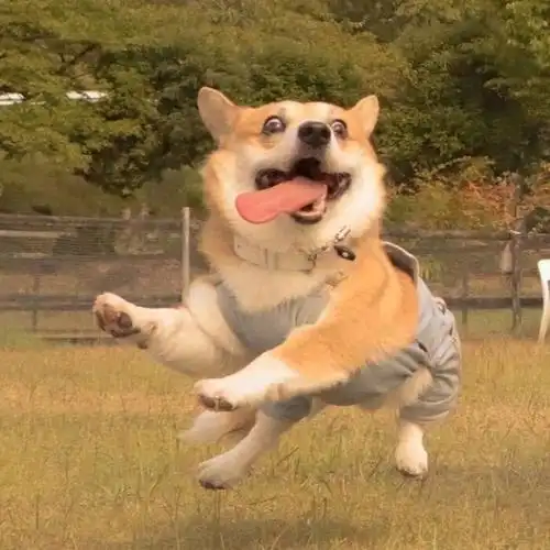 个性搞怪头像图片,微信搞怪头像精选逗比专属_搞笑头像_头像控