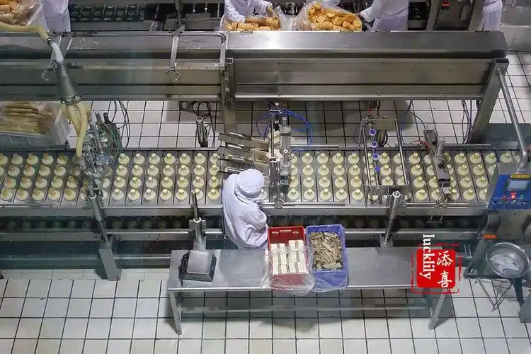 童游六月走进佑康透明工厂还学会自己做冰淇淋