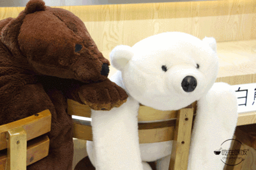 进门就能看见两只小熊,软软的趴在椅子上萌一脸!