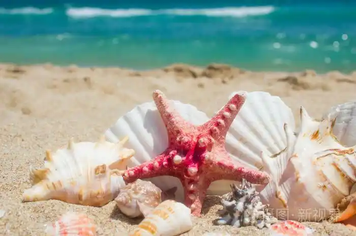 贝壳砂, 大海和蓝天上