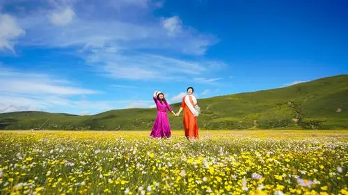 爱上草原爱上你