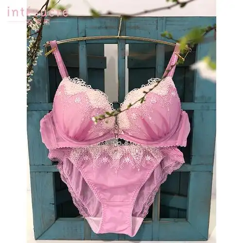 日本安秀丽粉色少年系蕾丝刺绣性感文胸套装聚拢上托内衣专柜同步