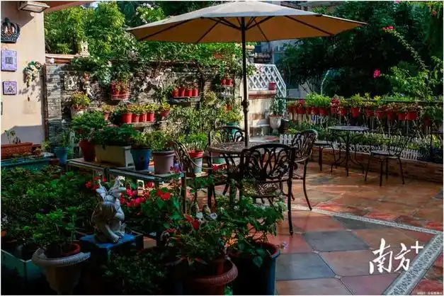 4万户家庭参与打造|乡村|绿化|小花园|中山市_网易订阅