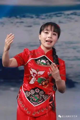 王二妮黄土地上的百灵鸟国外演唱会惊艳了世界