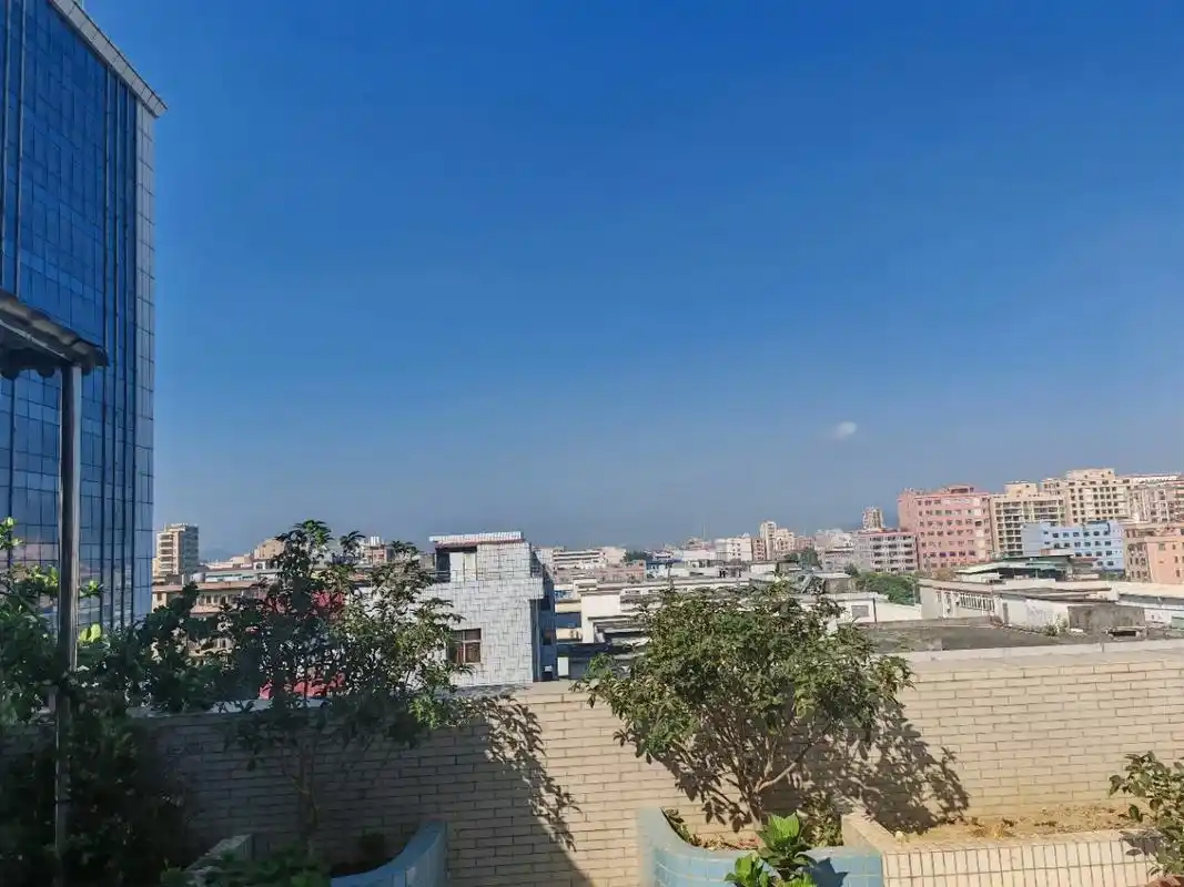 虎门沙角厂房特惠出租 便宜电梯直达  1.六 - 抖音