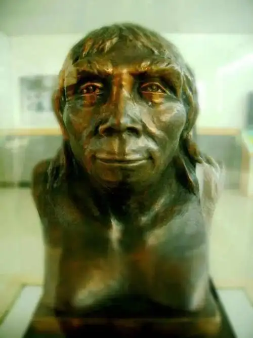 北京猿人复原雕像 第一,由于过于寒冷和缺乏食物,"北京人"还来不及跟