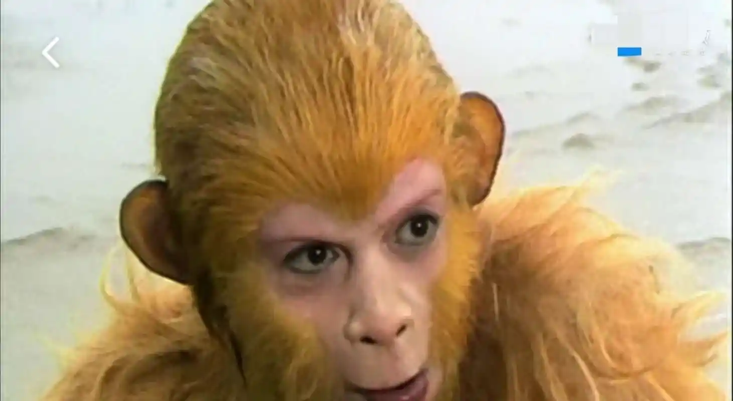 《西游记》之猴王出世 第1集打油诗