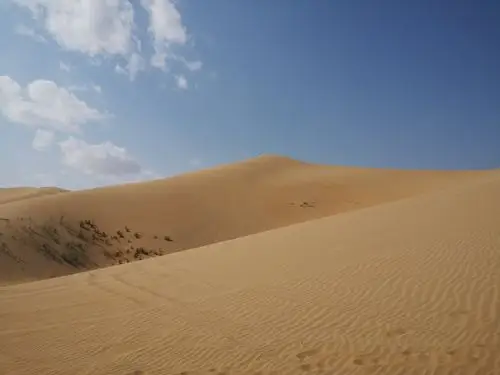 草原之旅(三)～哈素海,库布其沙漠