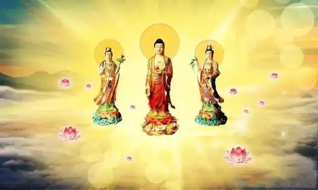 若能为你种莲花,为母此生无他求