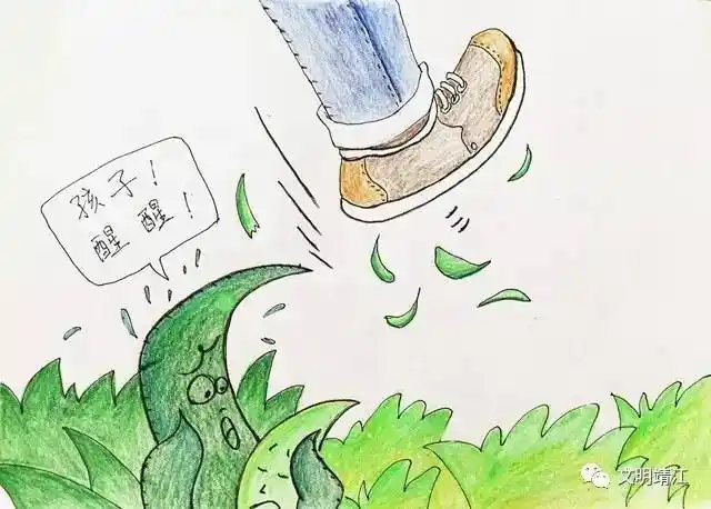 这个靖江小伙子,每天都在墙上"乱涂乱画",还画那么好看!