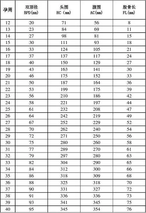 孕周与胎儿大小对照表