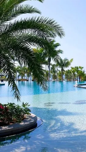 iphone 壁纸 三亚,度假村,游泳池,棕榈树,海,中国