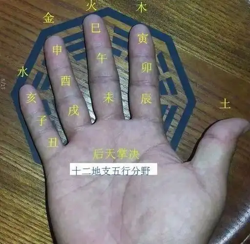 掐指一算手握乾坤后天掌诀法