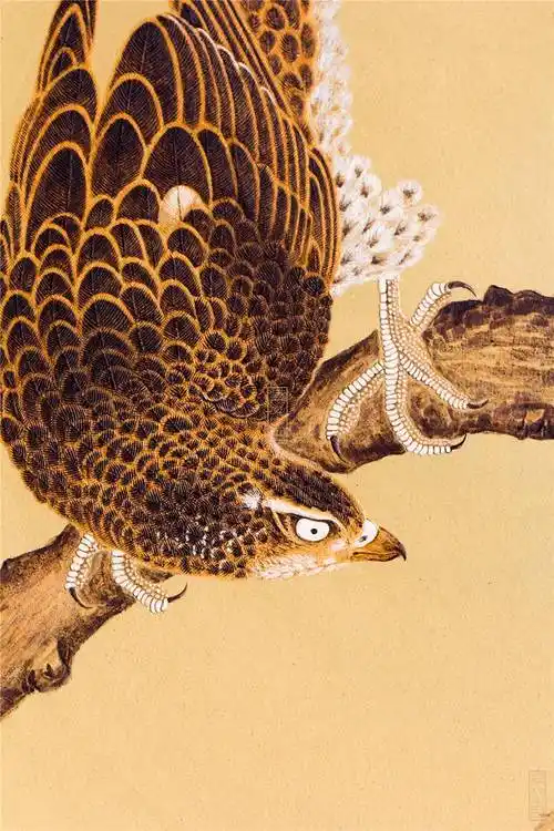 抟枫鹰稚鸡图张丹