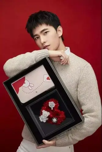 杨洋万宝龙情人节限定礼盒广告出炉商务精英风度翩翩