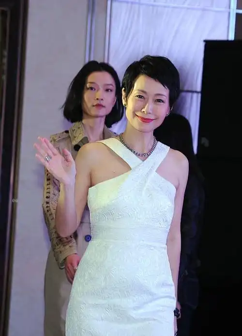 叶童才60岁满头白发皮肤如树皮气质比69岁的赵雅芝差了很远