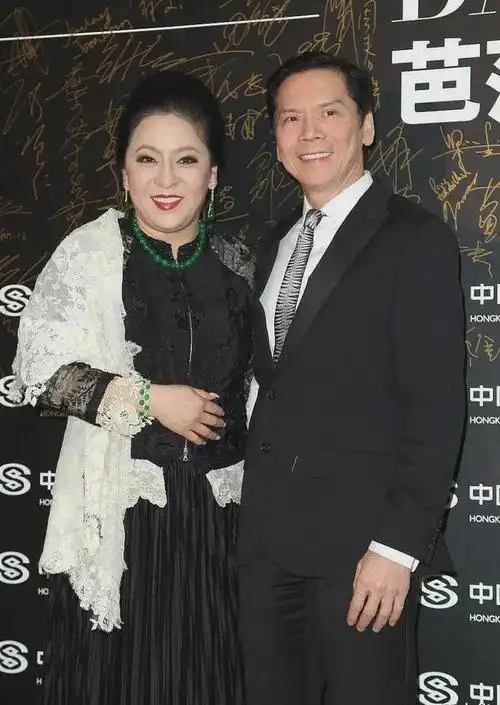 向太陈岚宣布直播出售澳门豪宅网友猜测资金紧张