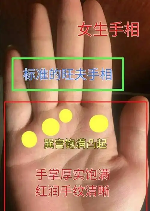 判断旺夫相女人标准手相是什么? 标准旺夫女人面相-八字合婚网