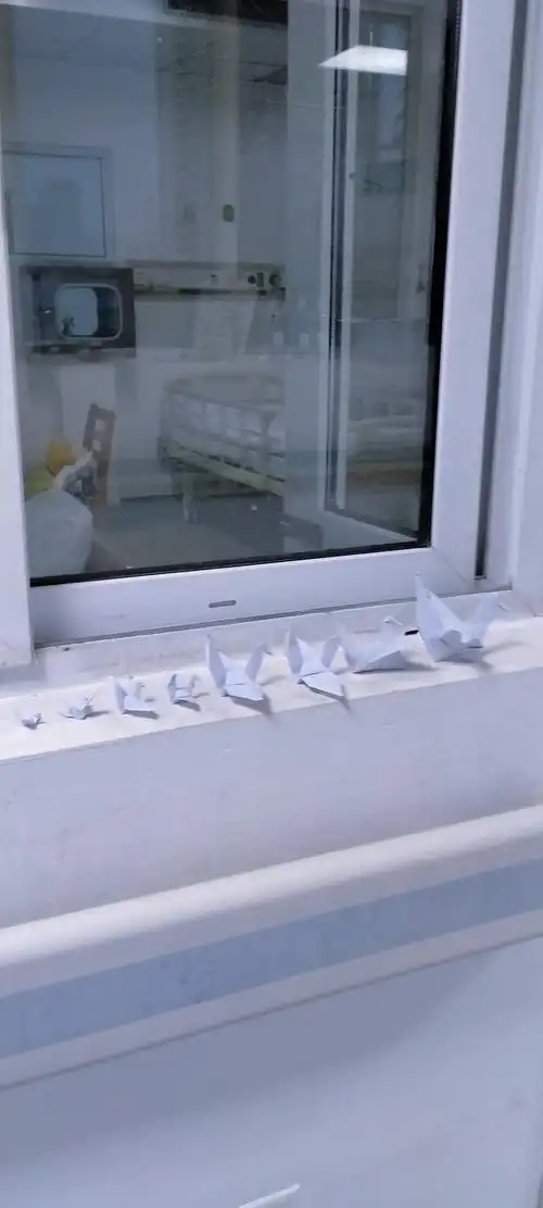 抗疫日记丨陪患者绕着走廊锻炼折千纸鹤祈祷健康