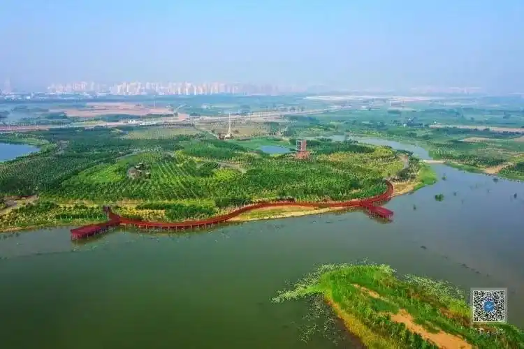 「喜迎区十二次党代会召开」津南区绿色生态屏障基本建成 津沽"绿谷"