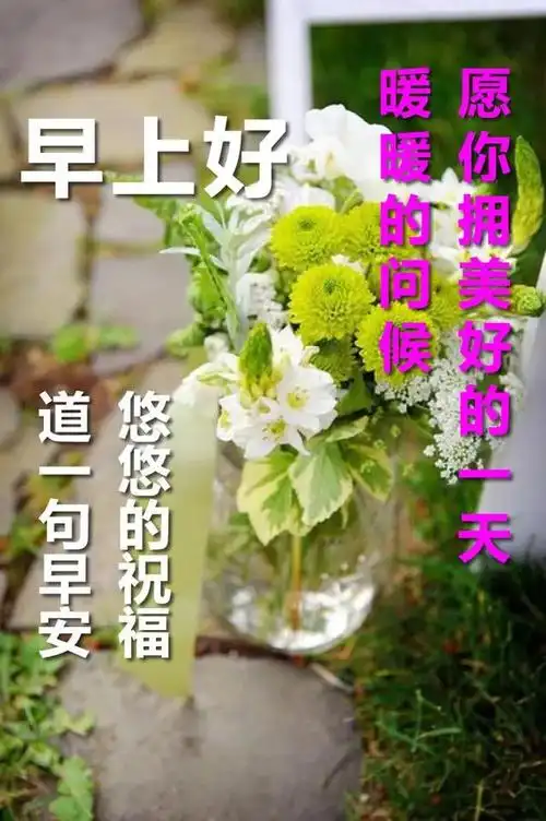 2020最新漂亮早安问候祝福动态图片鲜花清晨最美暖心问候祝福语