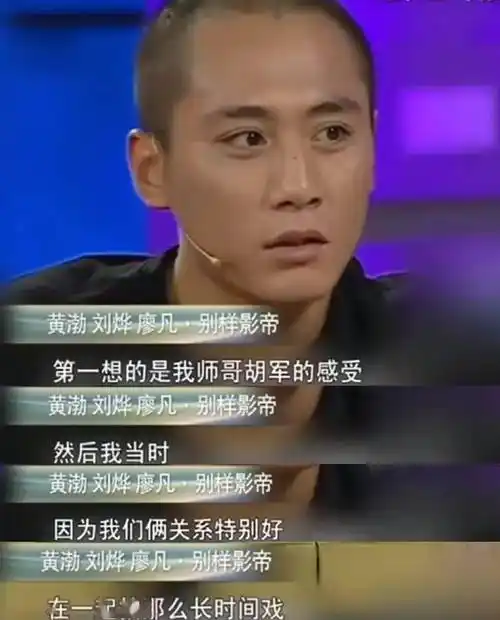 胡军_刘烨_蓝宇