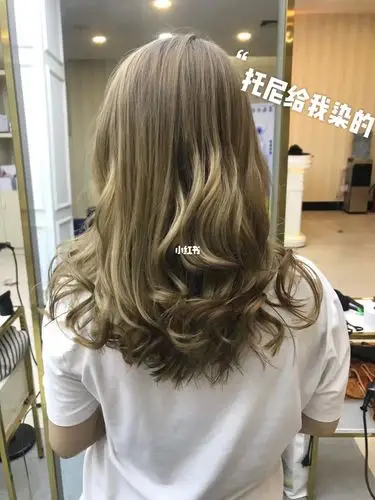 今天拿图到理发店染了个头发