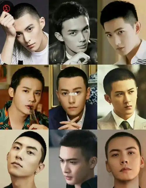真寸头,不是短发#明星  #王鹤棣  #檀健次  #杨洋  #吴磊  #黄景瑜