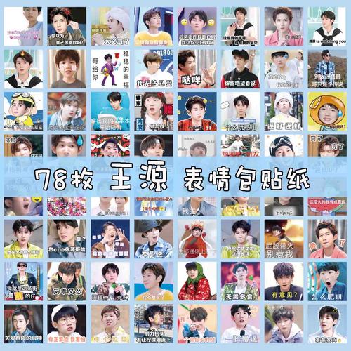 王源表情包贴纸手账tfboys小源q版明星贴纸diy自制手机
