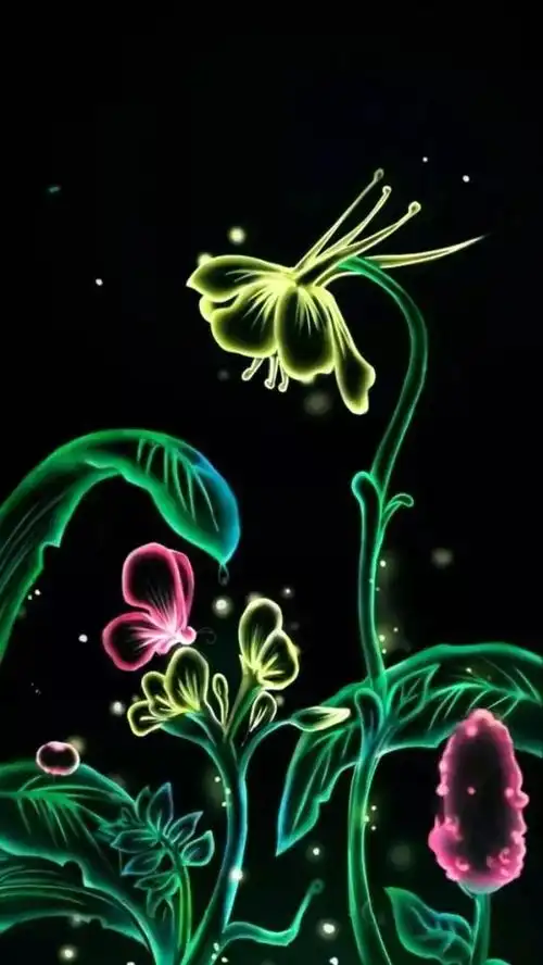 荧光 壁纸 - 堆糖,美图壁纸兴趣社区