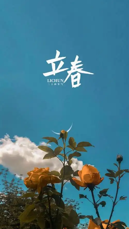 2021年立春时节,锁屏图片,高清手机壁纸,节日-回车桌面