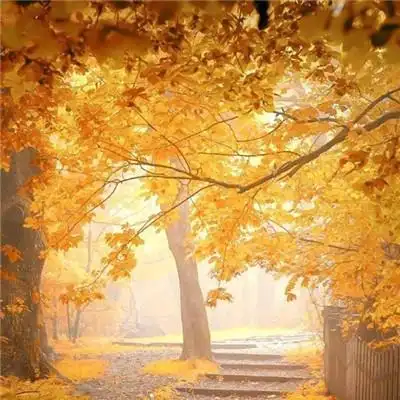 2021带来好运的微信头像图片 漂亮高清